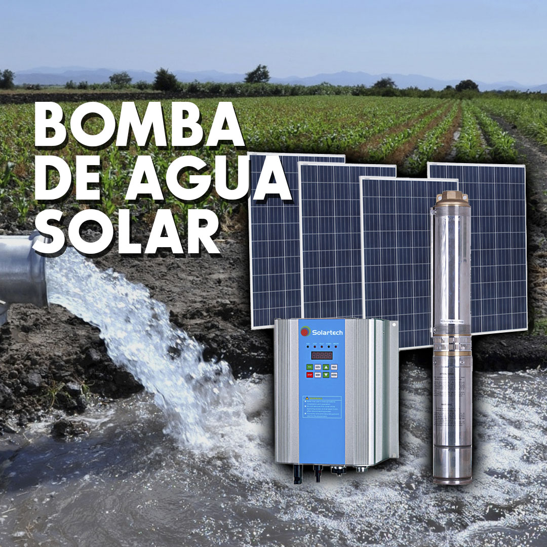 Bomba de agua solar, Flores Organización